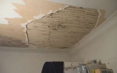 Dégât des eaux en appartement à Nancy : qui contacter et dans quel ordre ?