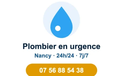 WC bouché : que faire avant d’appeler un plombier ?